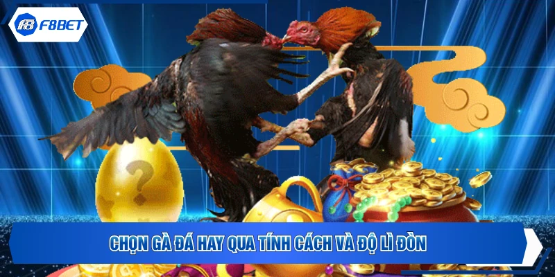Chọn gà đá hay qua tính cách và độ lì đòn