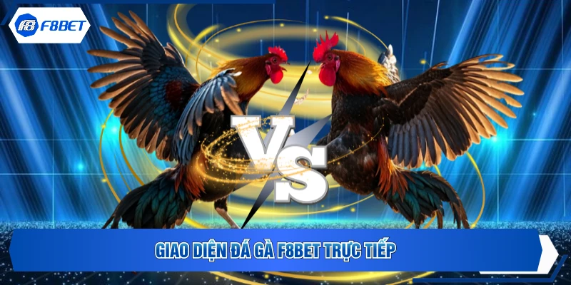 Giao diện Đá Gà F8BET trực tiếp