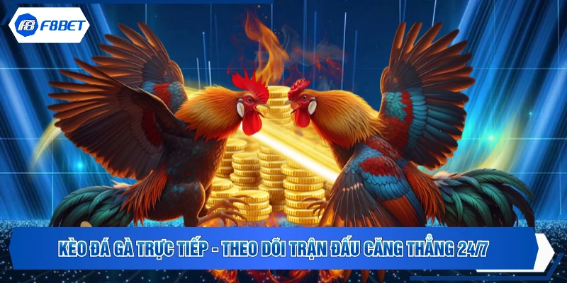 Kèo Đá Gà Trực Tiếp - Theo Dõi Trận Đấu Căng Thẳng 24/7